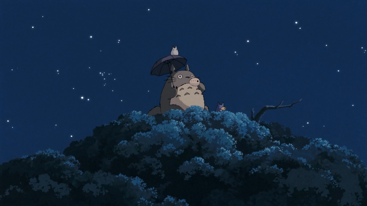 Totoro Starry Night Sky