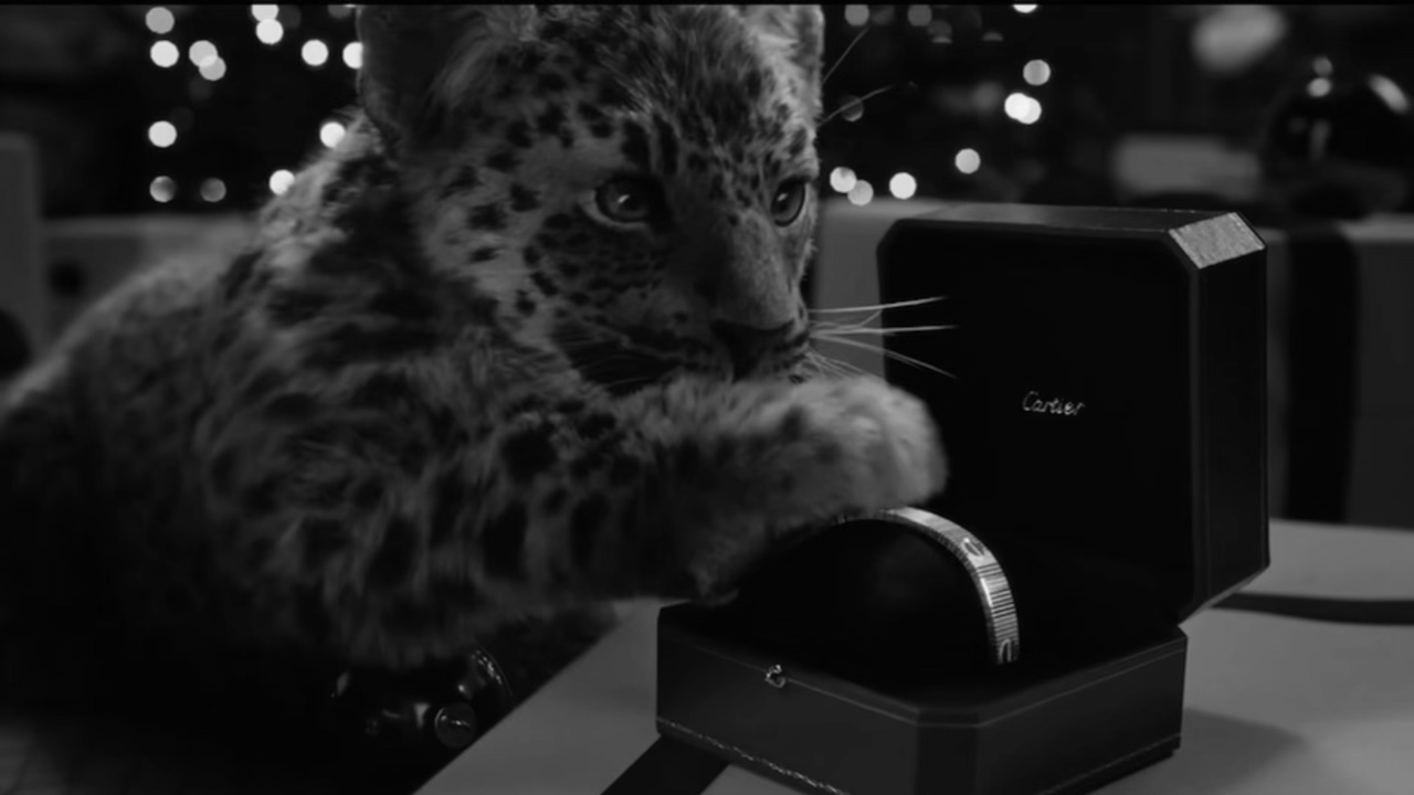Cartier Panda