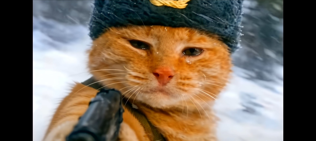 Comrade Cat Meme