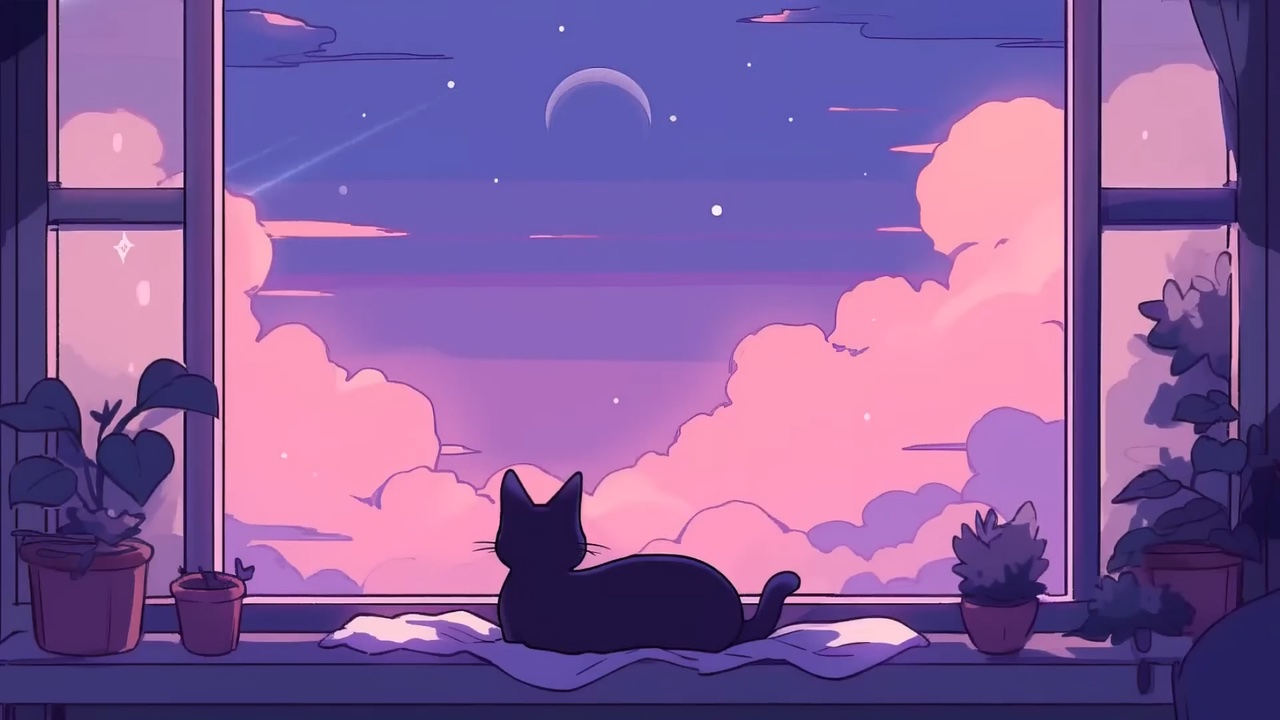 Shooting Stars with Cat